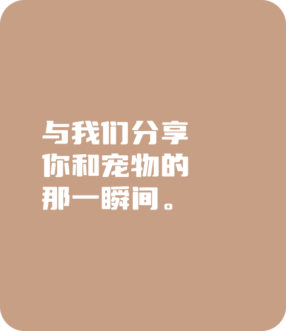 OB视讯·(中国区)宠物，无处不在